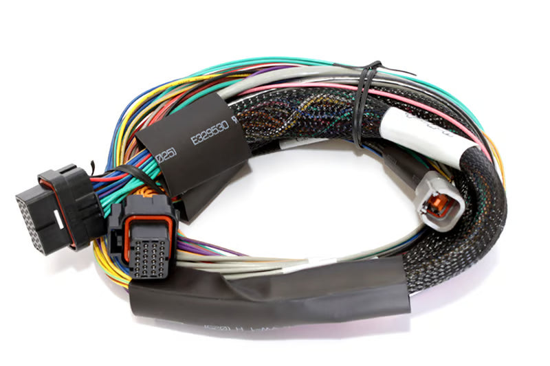 Elite 2500 + Basic Universal Wire-in Harness Kit Length: 2.5m (8')