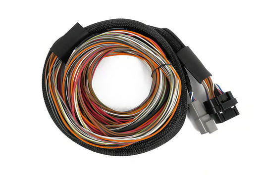 Haltech - Nexus IO16 Universal Wire in harness 2.6m (8.5')