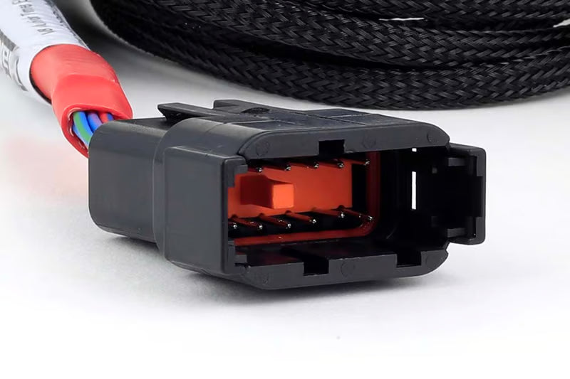 HALTECH - Nexus Universal V8 - Junior Timer (EV1) Injector Secondary Breakout