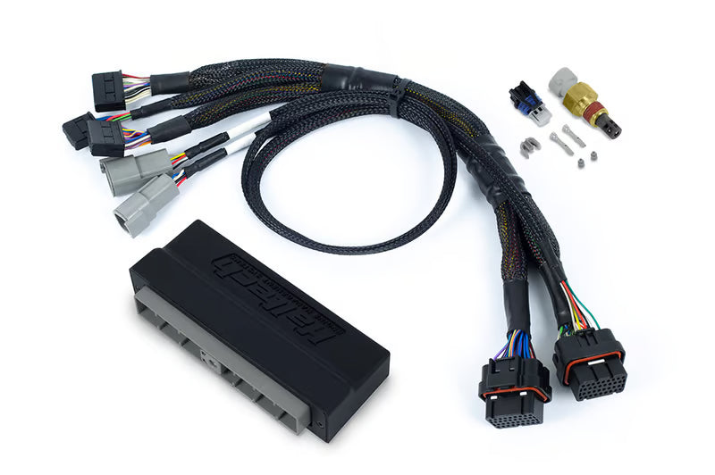 Haltech Nexus S3 Plug 'n' Play Adapter Harness - Nissan Skyline R34 GT-T, WC34 STAGEA