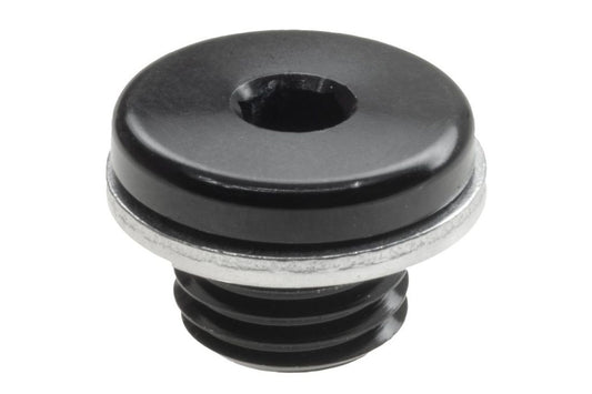 Raceworks Metric Hex O-Ring Plugs