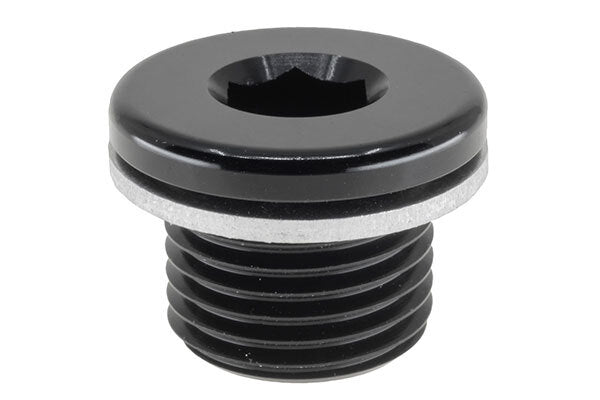 Raceworks Metric Hex O-Ring Plugs