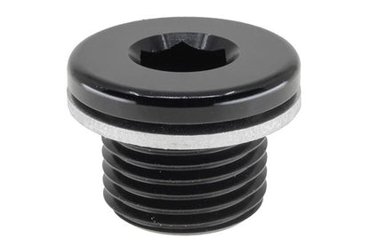 Raceworks Metric Hex O-Ring Plugs