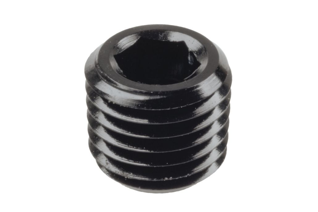 Raceworks In-Hex NPT Plugs