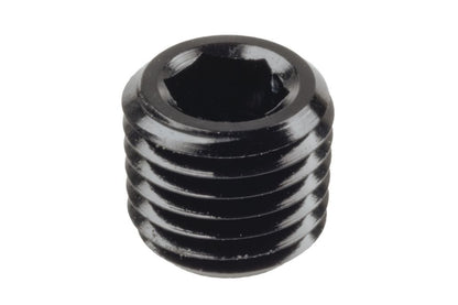 Raceworks In-Hex NPT Plugs