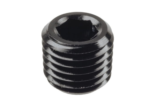 Raceworks In-Hex NPT Plugs