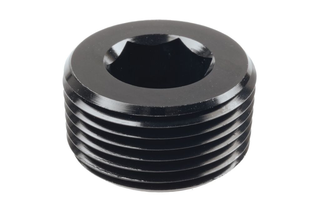 Raceworks In-Hex NPT Plugs