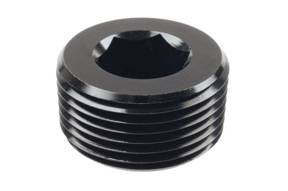 Raceworks In-Hex NPT Plugs